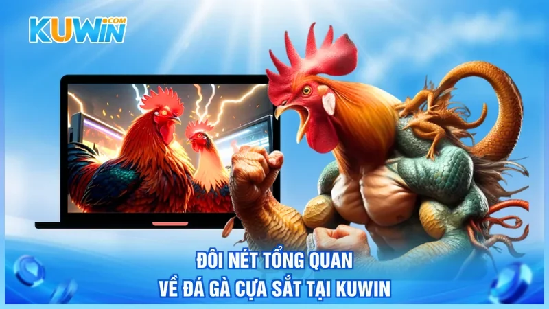 Kuwin Đá gà cựa sắt Đôi nét tổng quan về đá gà cựa sắt tại Kuwin