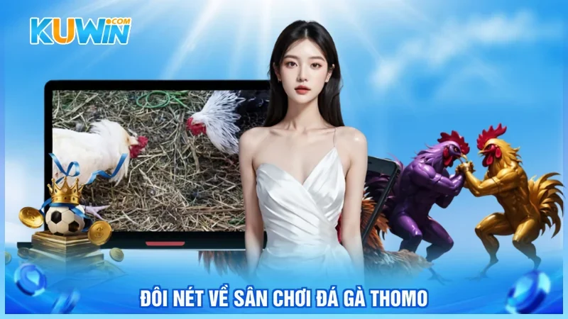 Kuwin Đá gà thomo Đôi nét về sân chơi đá gà thomo