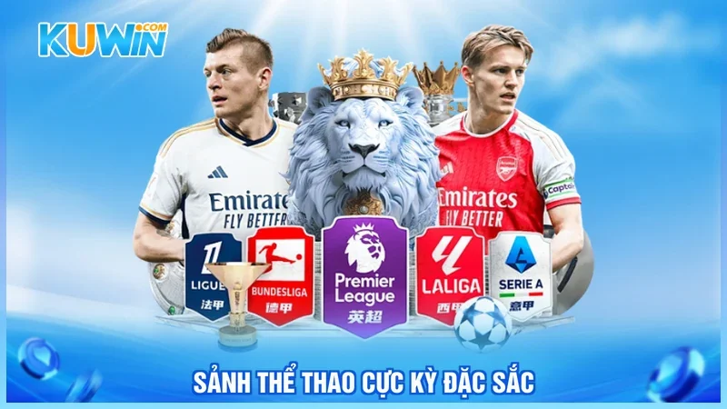 Kuwin CMD Sports Sảnh thể thao cực kỳ đặc sắc