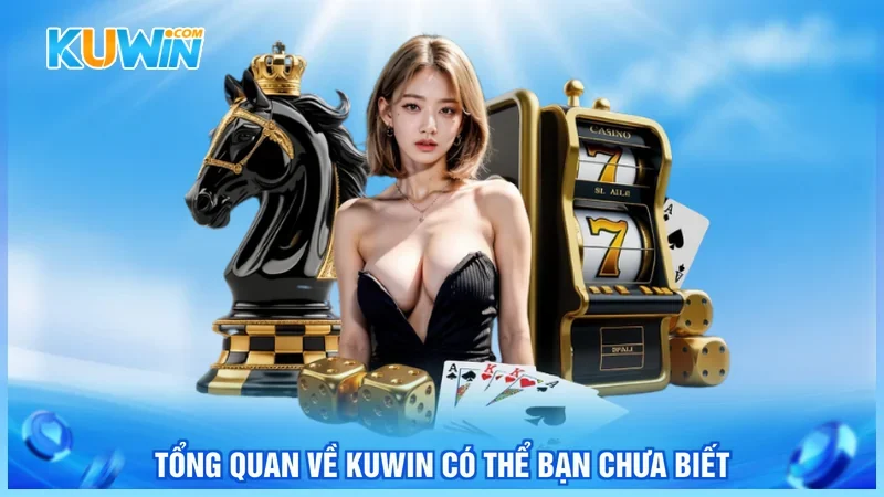 Kuwin Giới Thiệu Kuwin Tổng quan về Kuwin có thể bạn chưa biết